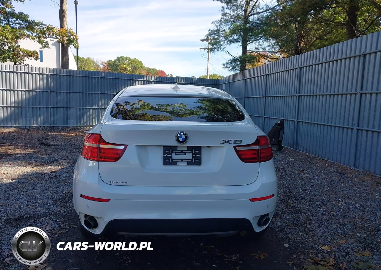 2013 BMW X6 xDrive35I VIN:5UXFG2C57DL787928 - 16