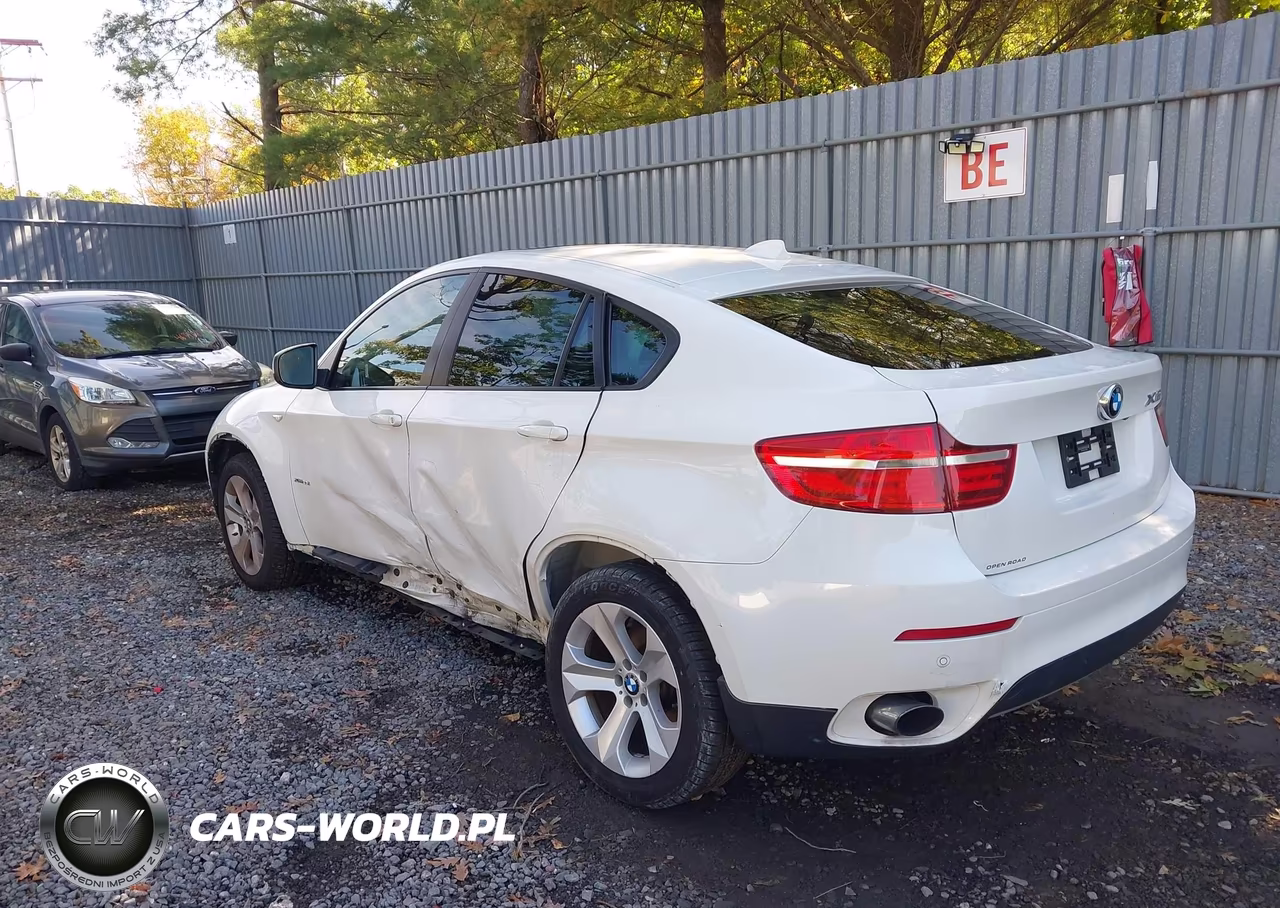 2013 BMW X6 xDrive35I VIN:5UXFG2C57DL787928 - 3