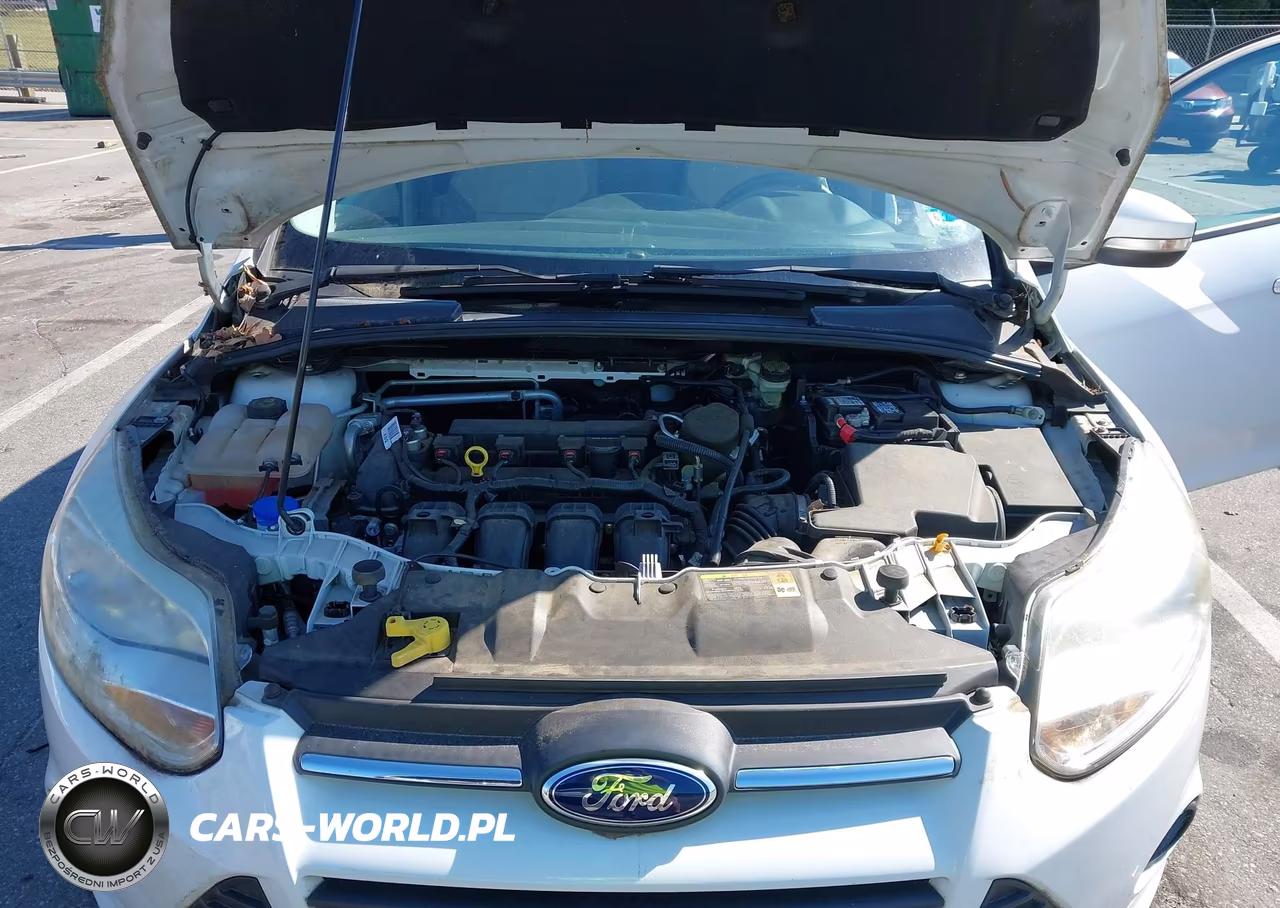 2014 Ford Focus Se VIN:1FADP3F27EL103225 - 10