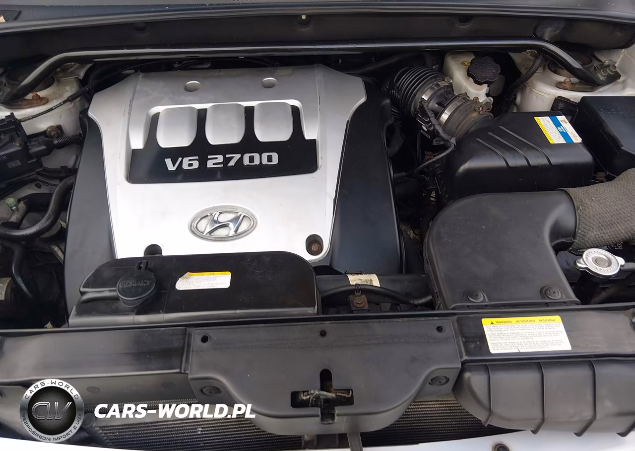 2006 Hyundai Tucson Gls-Limited VIN:KM8JN72D96U463279 - 10
