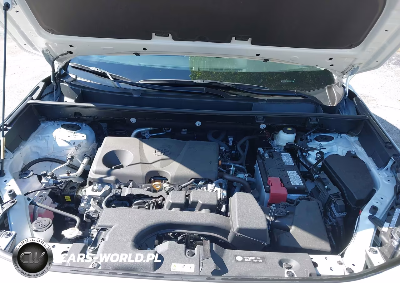 2025 Toyota Rav4 Xle VIN:2T3W1RFV9SC336180 - 10