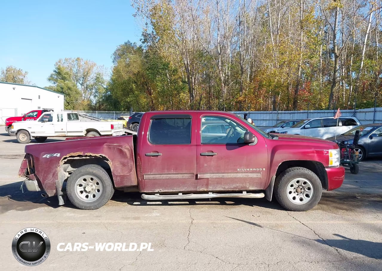 2009 Chevrolet Silverado 1500 Ls VIN:3GCEK13C59G182279 - 13