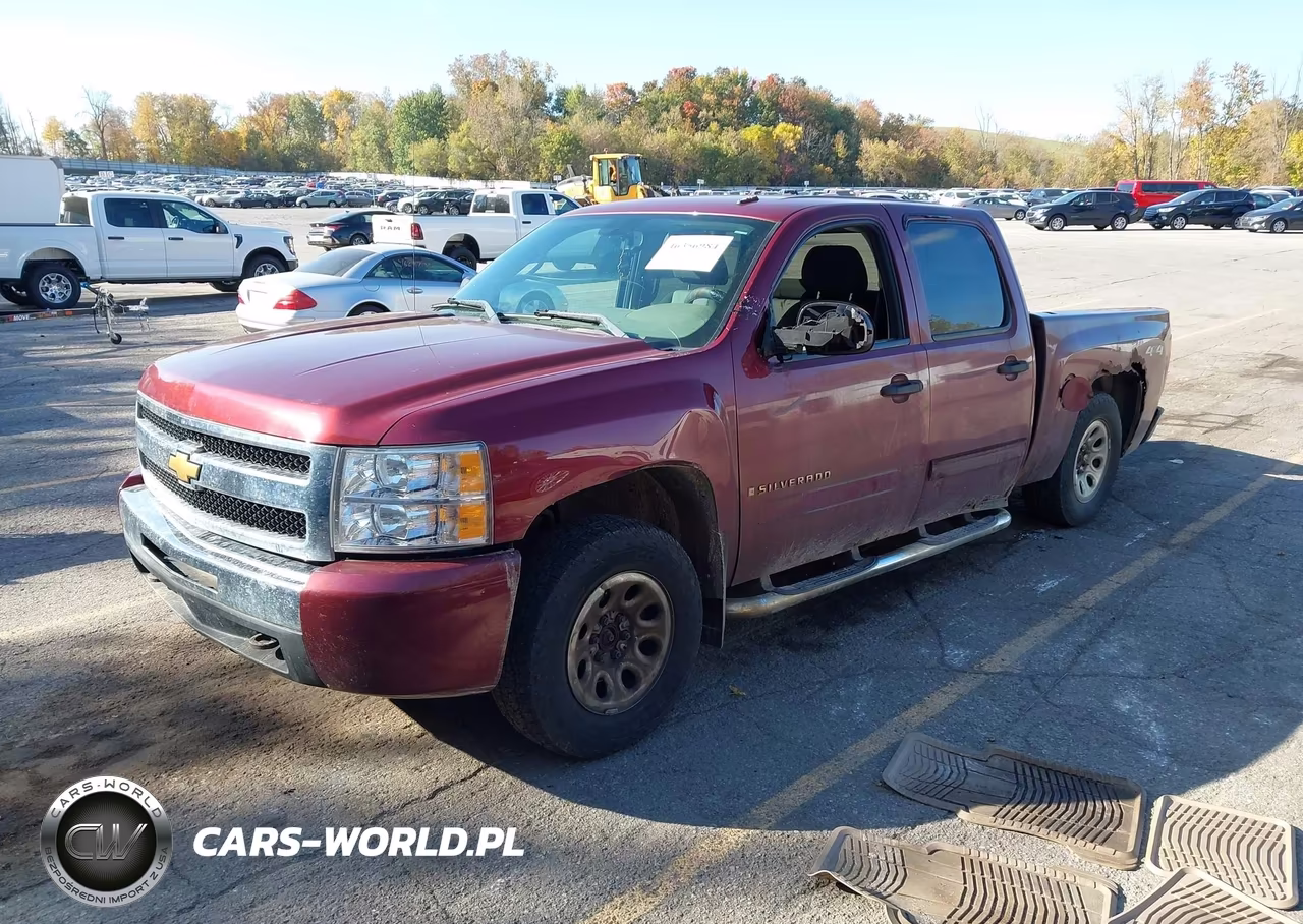 2009 Chevrolet Silverado 1500 Ls VIN:3GCEK13C59G182279 - 2