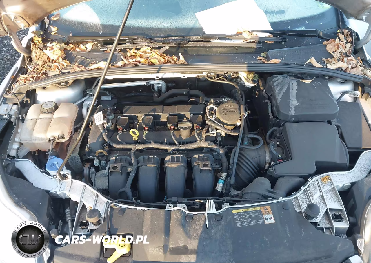 2013 Ford Focus Se VIN:1FADP3K2XDL330185 - 10