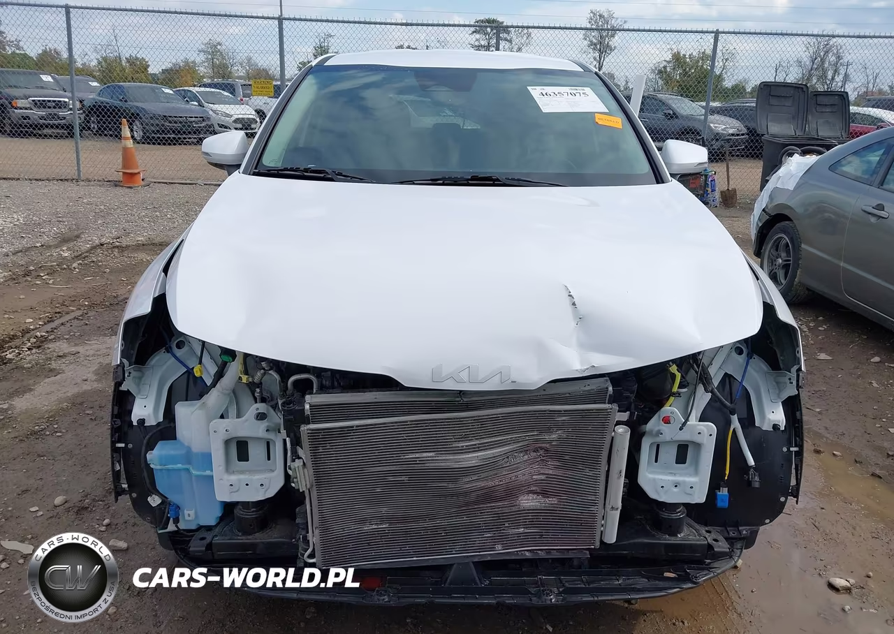 2024 Kia Sportage Ex VIN:5XYK33DFXRG189666 - 12