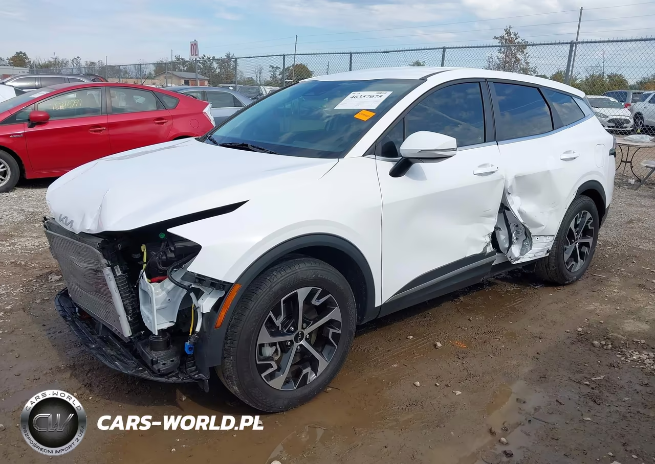 2024 Kia Sportage Ex VIN:5XYK33DFXRG189666 - 2