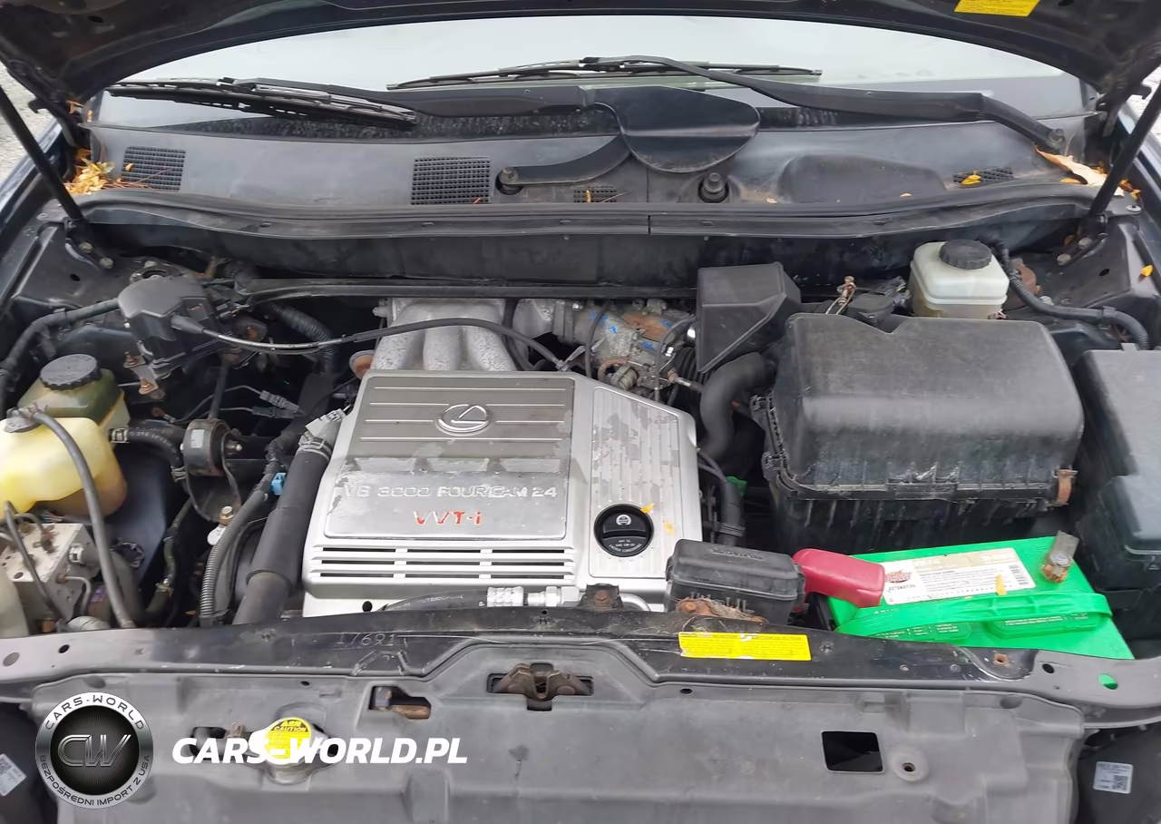 2002 Lexus Rx 300 VIN:JTJHF10U420291192 - 10
