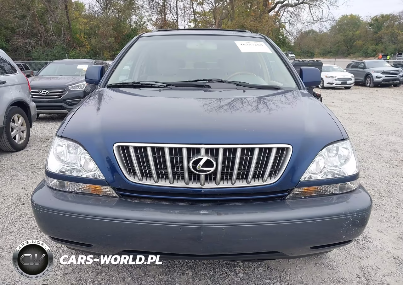2002 Lexus Rx 300 VIN:JTJHF10U420291192 - 12