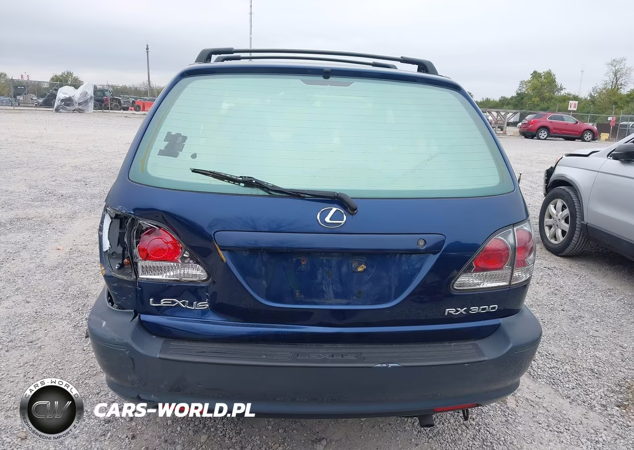 2002 Lexus Rx 300 VIN:JTJHF10U420291192 - 16