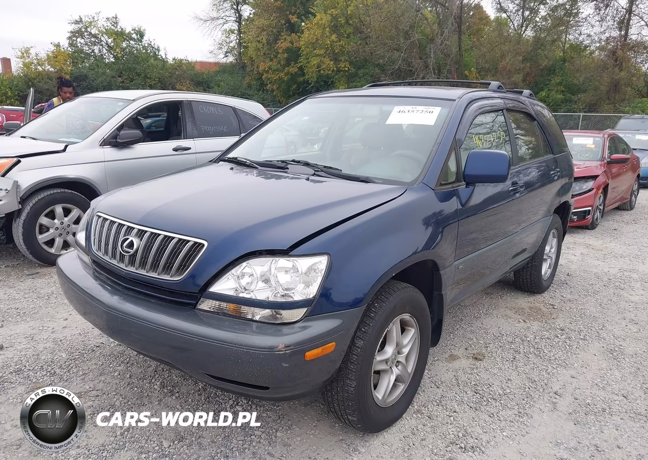 2002 Lexus Rx 300 VIN:JTJHF10U420291192 - 2