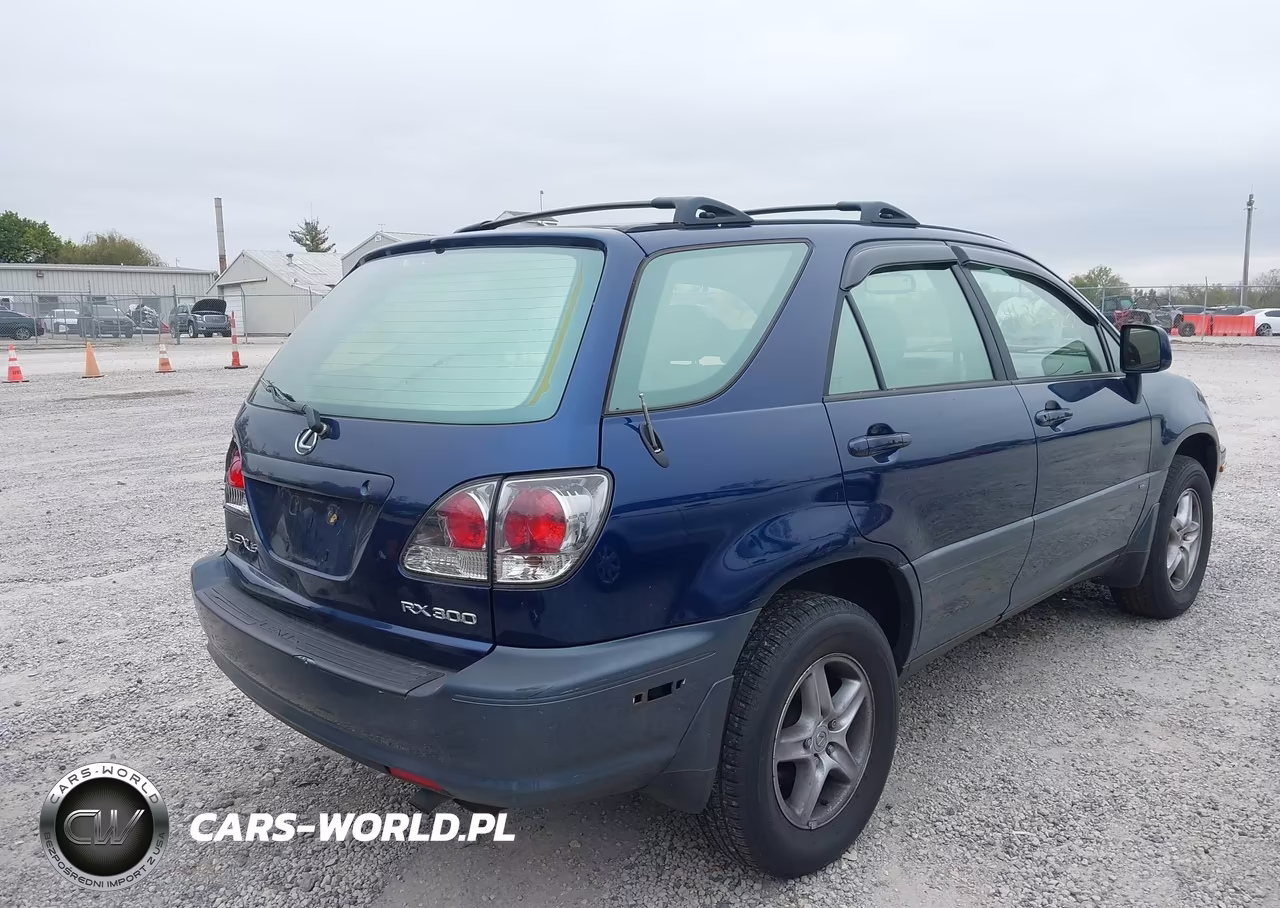 2002 Lexus Rx 300 VIN:JTJHF10U420291192 - 4