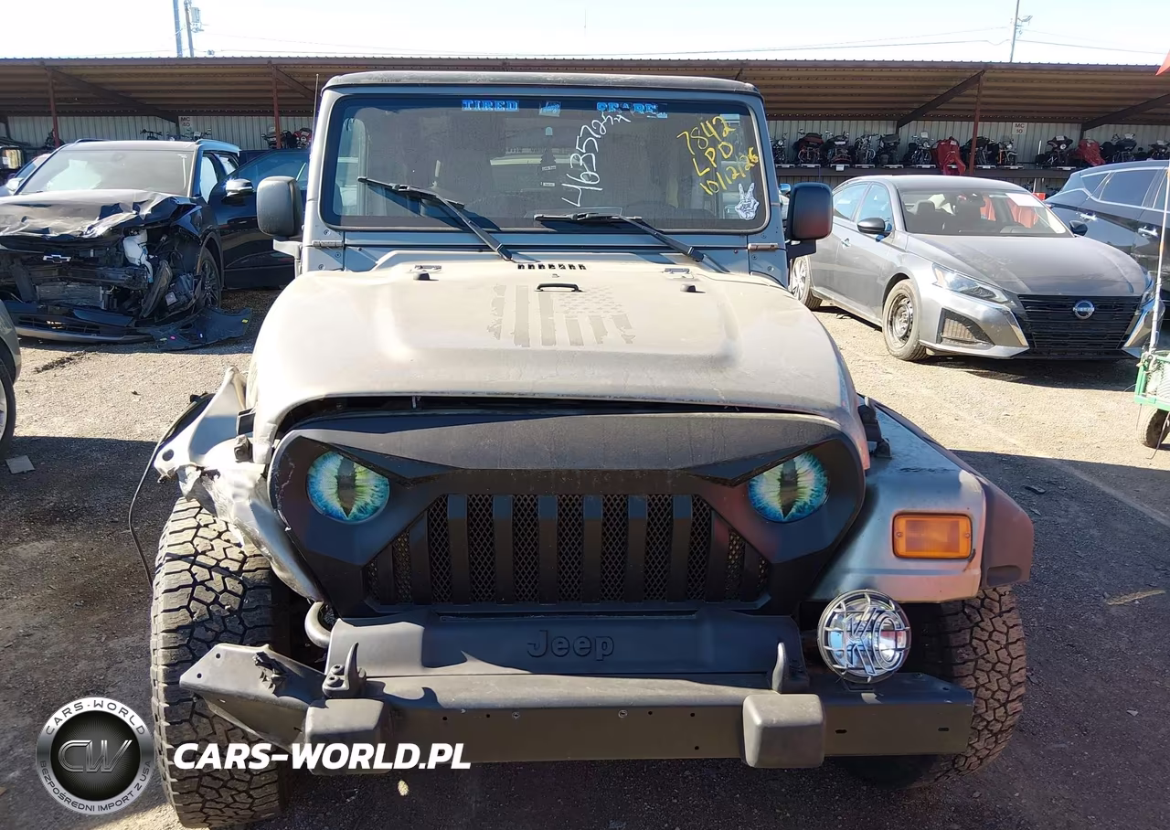 2003 Jeep Wrangler VIN:1J4FA49S83P338853 - 11