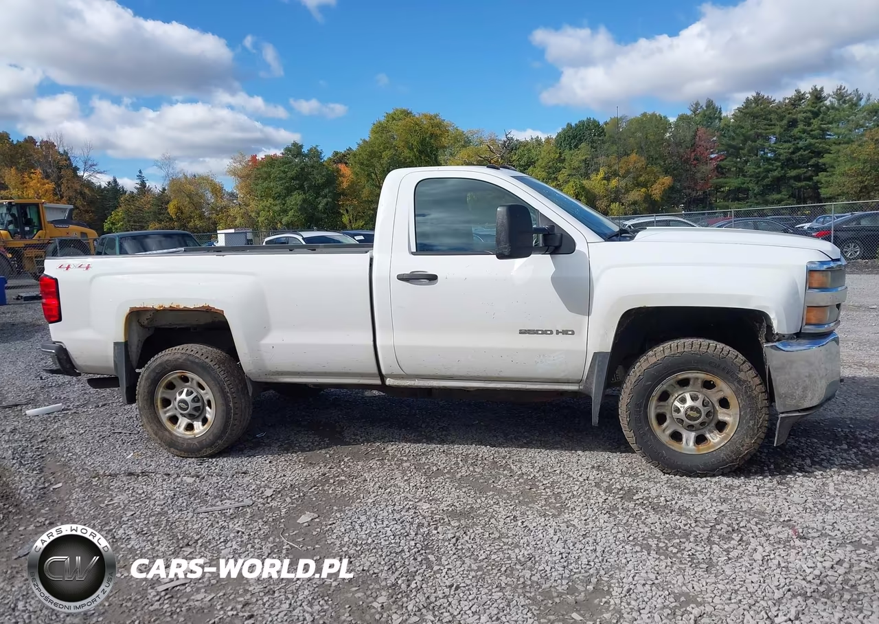 2015 Chevrolet Silverado 2500Hd Wt VIN:1GC0KUEG0FZ131554 - 13