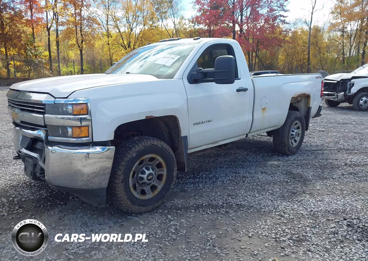 2015 Chevrolet Silverado 2500Hd Wt VIN:1GC0KUEG0FZ131554 - 2