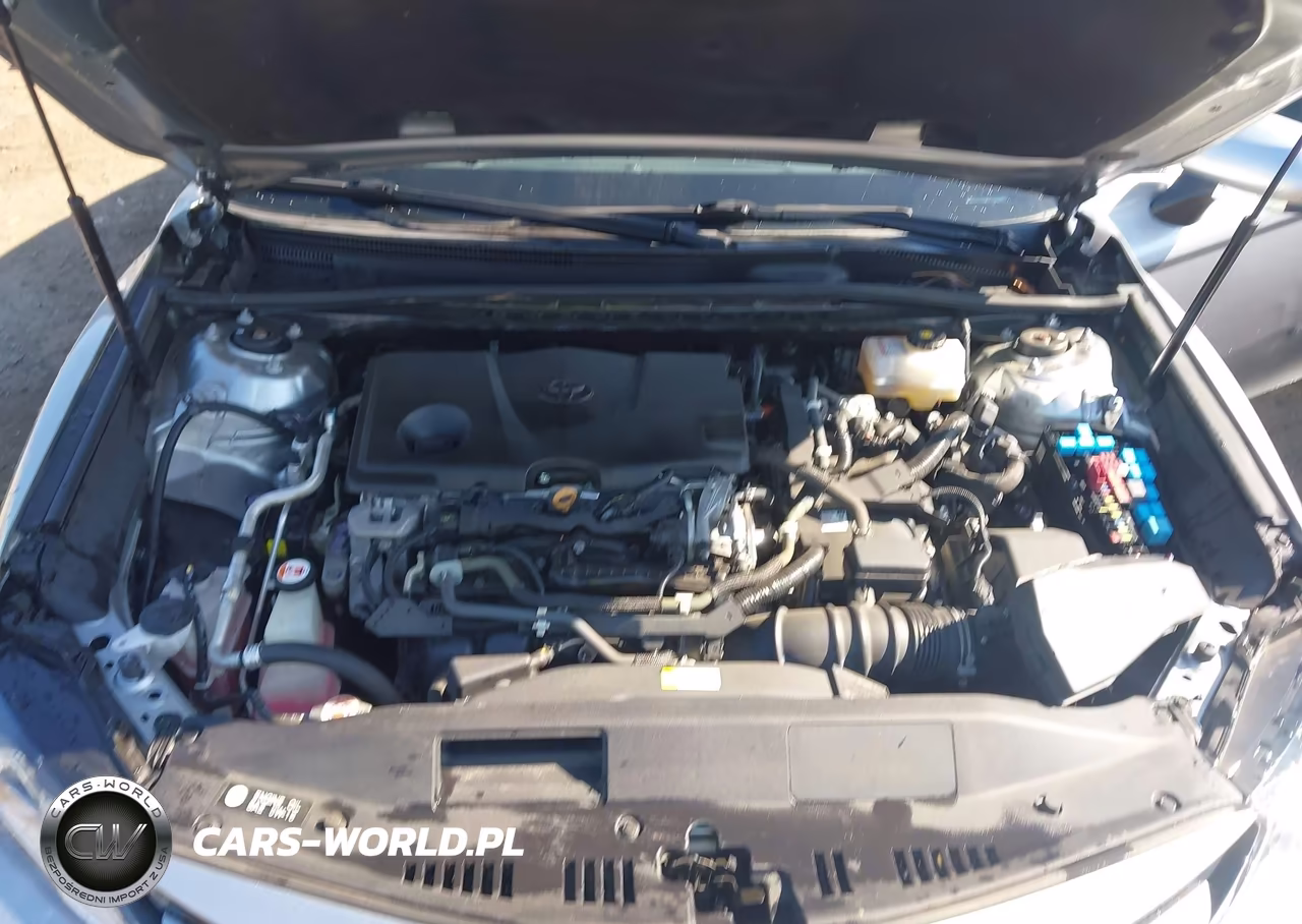 2019 Toyota Camry Hybrid Le VIN:4T1B31HK6KU516964 - 10
