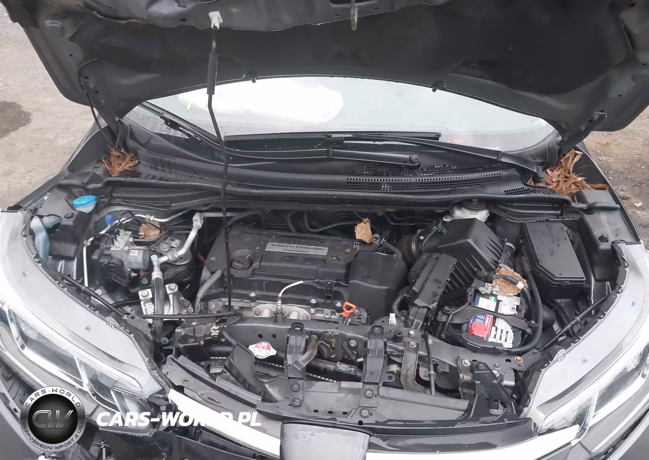 2015 Honda Cr-V Lx VIN:2HKRM4H35FH700402 - 10