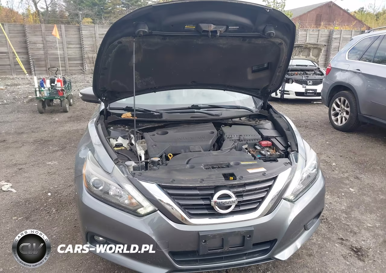 2016 Nissan Altima 2.5 Sl VIN:1N4AL3AP5GC231225 - 10