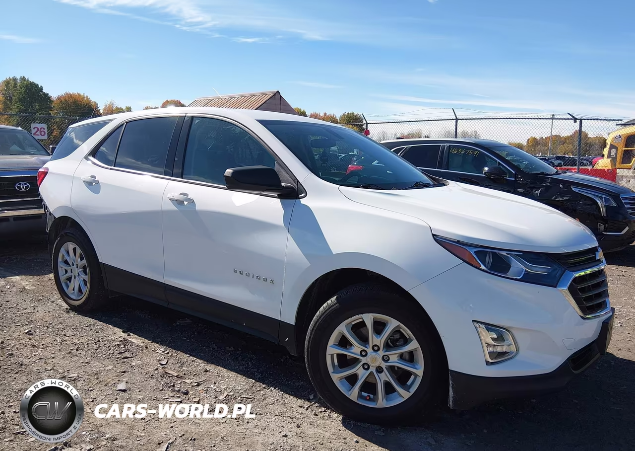 2019 Chevrolet Equinox Ls VIN:2GNAXHEV3K6129595 - 1