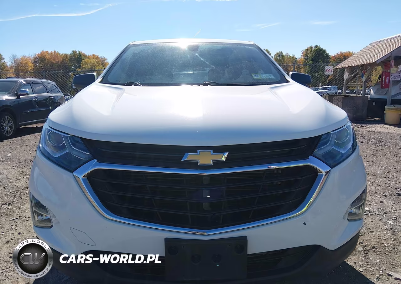 2019 Chevrolet Equinox Ls VIN:2GNAXHEV3K6129595 - 13