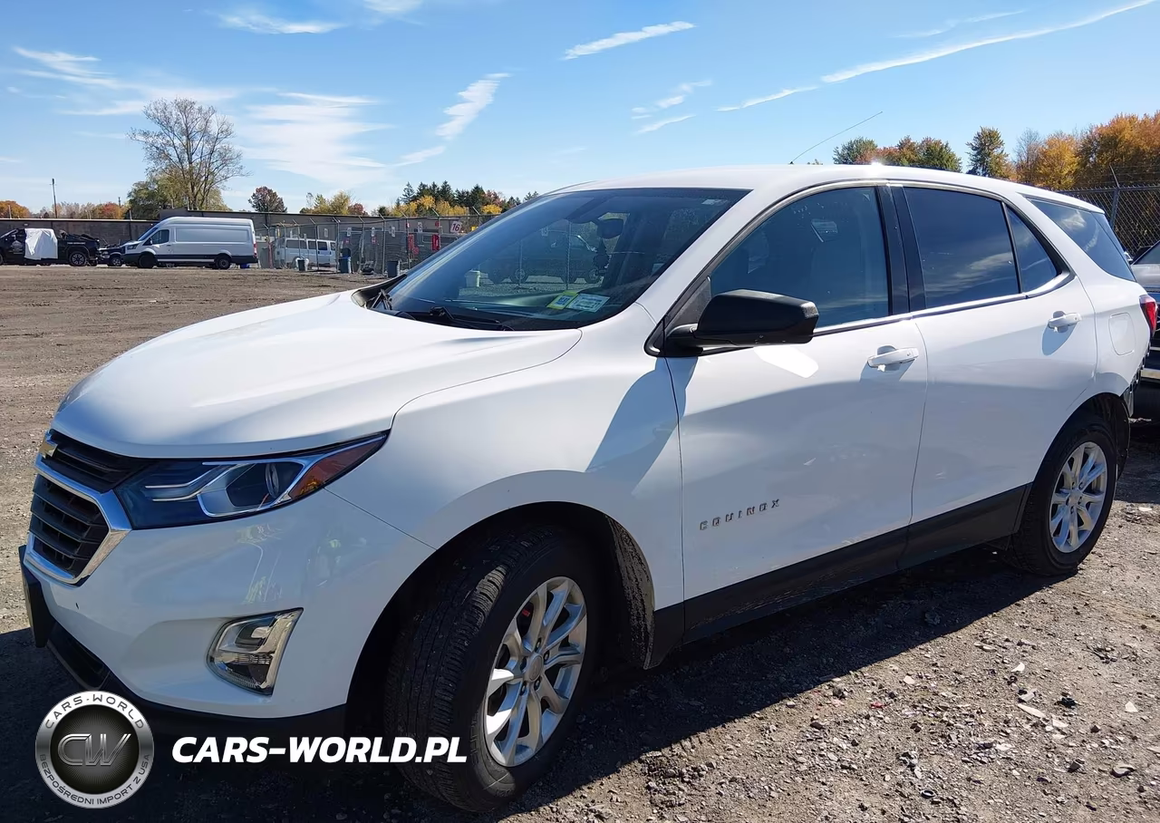 2019 Chevrolet Equinox Ls VIN:2GNAXHEV3K6129595 - 2
