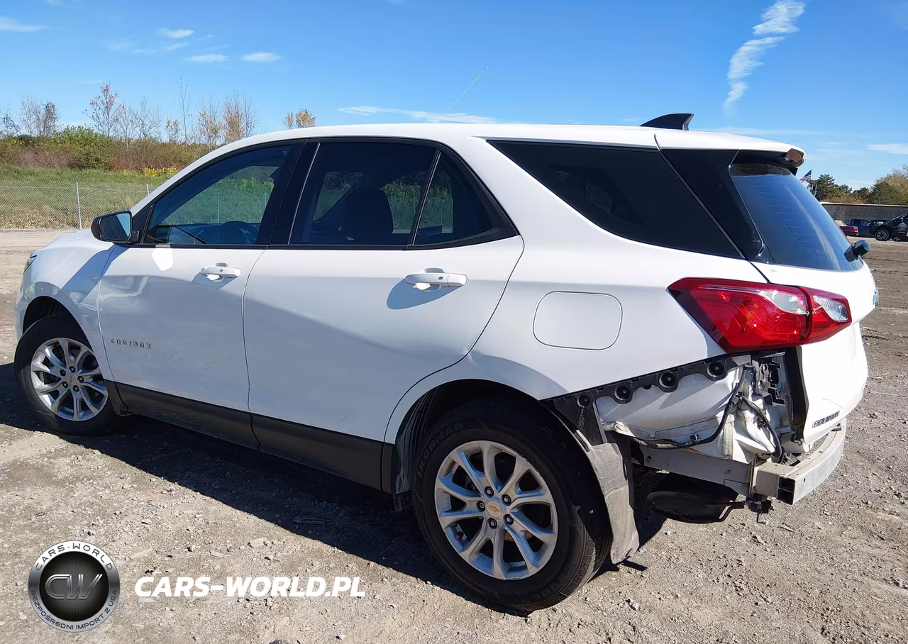 2019 Chevrolet Equinox Ls VIN:2GNAXHEV3K6129595 - 3