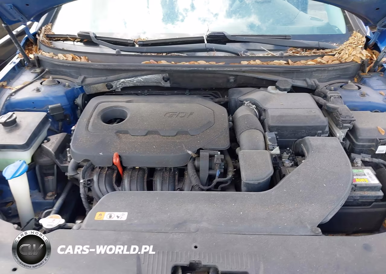 2016 Hyundai Sonata Sport VIN:5NPE34AF0GH403156 - 10