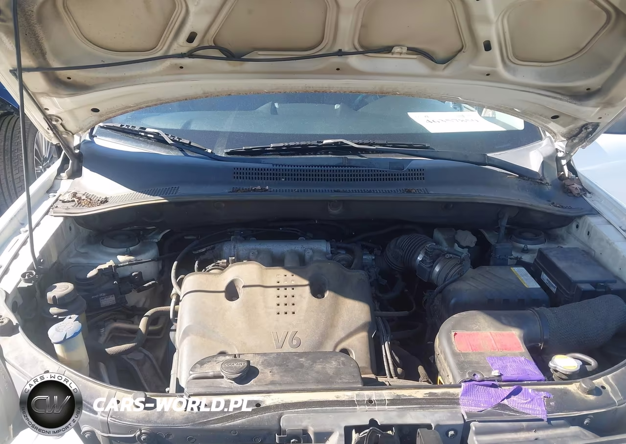 2010 Kia Sportage Lx V6 VIN:KNDKG3A3XA7726634 - 10