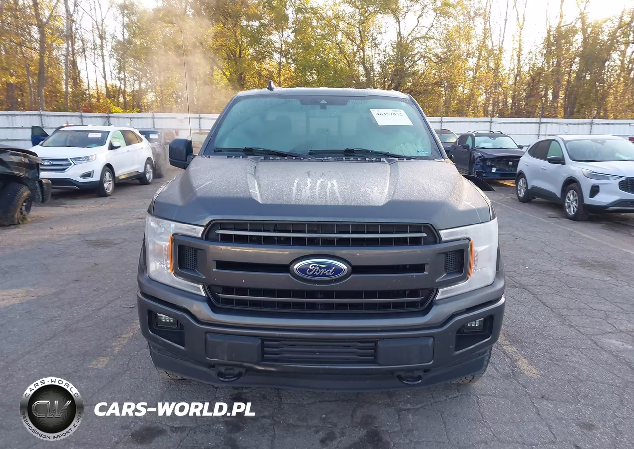 2019 Ford F-150 Xlt VIN:1FTEW1E59KFA95043 - 12