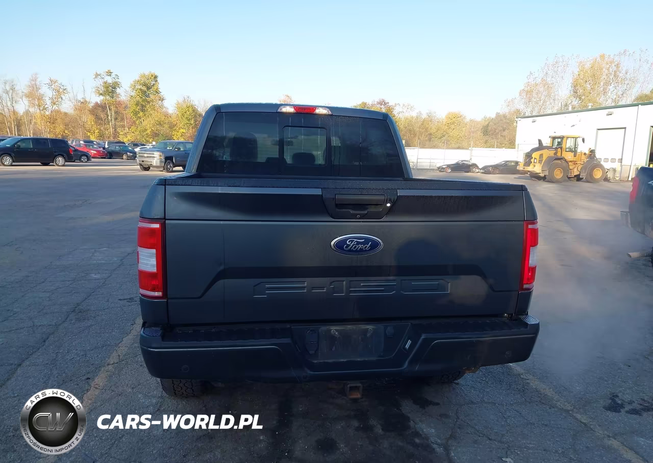 2019 Ford F-150 Xlt VIN:1FTEW1E59KFA95043 - 16