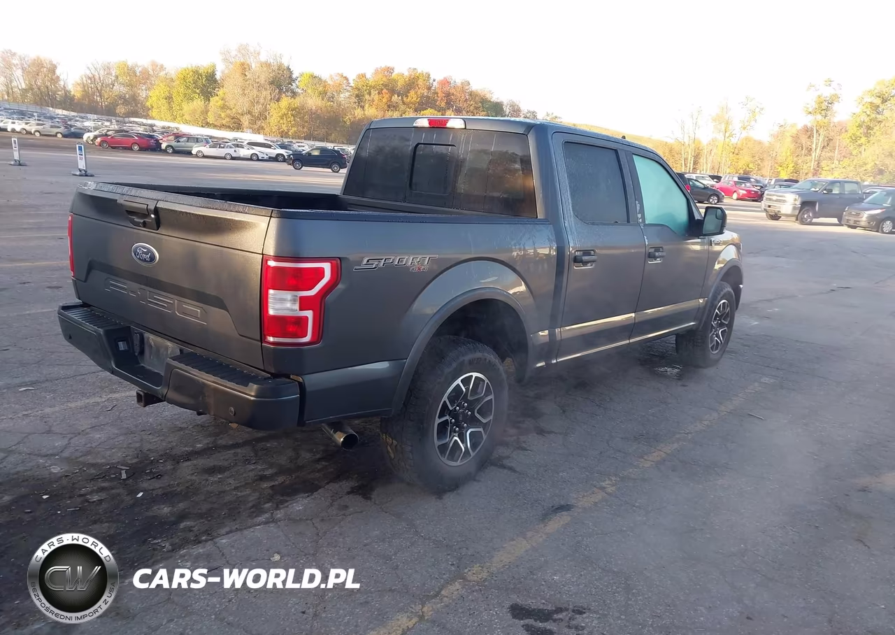 2019 Ford F-150 Xlt VIN:1FTEW1E59KFA95043 - 4