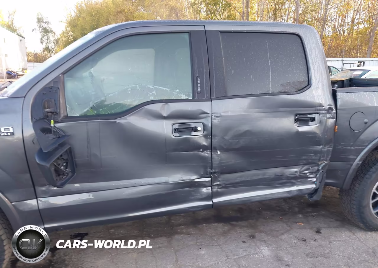 2019 Ford F-150 Xlt VIN:1FTEW1E59KFA95043 - 6