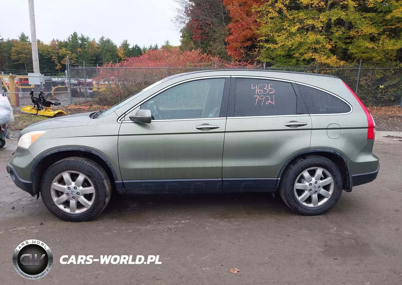 2009 Honda Cr-V Ex-L VIN:JHLRE48739C006987 - 12