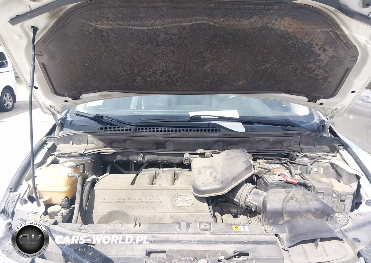 2011 Mazda Cx-9 Touring VIN:JM3TB2CA9B0315588 - 10