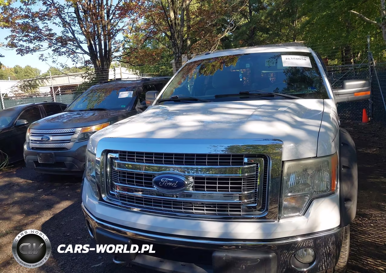 2013 Ford F-150 Xlt VIN:1FTFX1ET0DKE09477 - 12