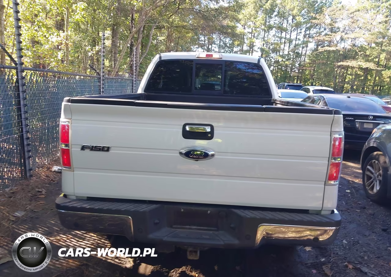 2013 Ford F-150 Xlt VIN:1FTFX1ET0DKE09477 - 16