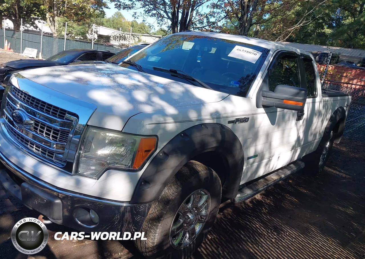 2013 Ford F-150 Xlt VIN:1FTFX1ET0DKE09477 - 2
