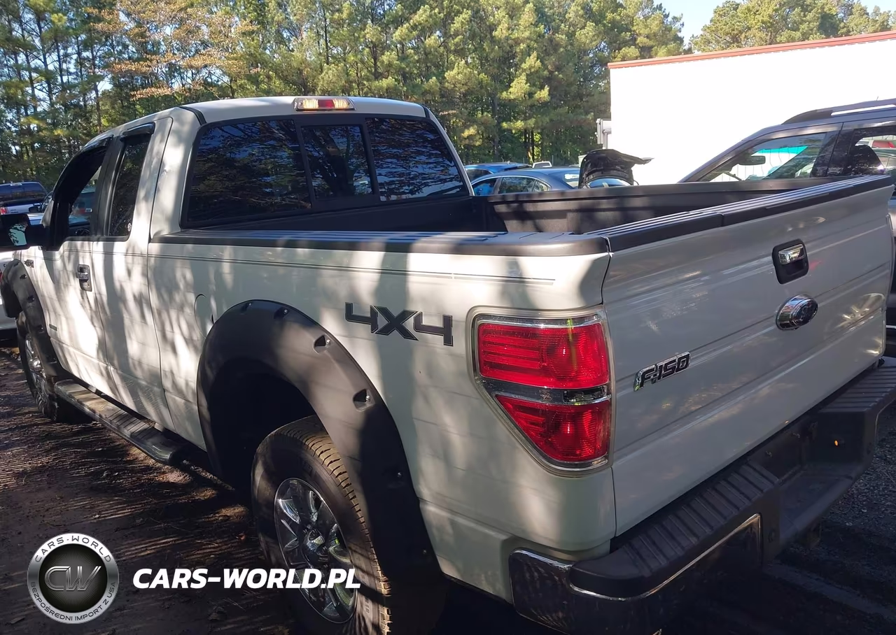 2013 Ford F-150 Xlt VIN:1FTFX1ET0DKE09477 - 3