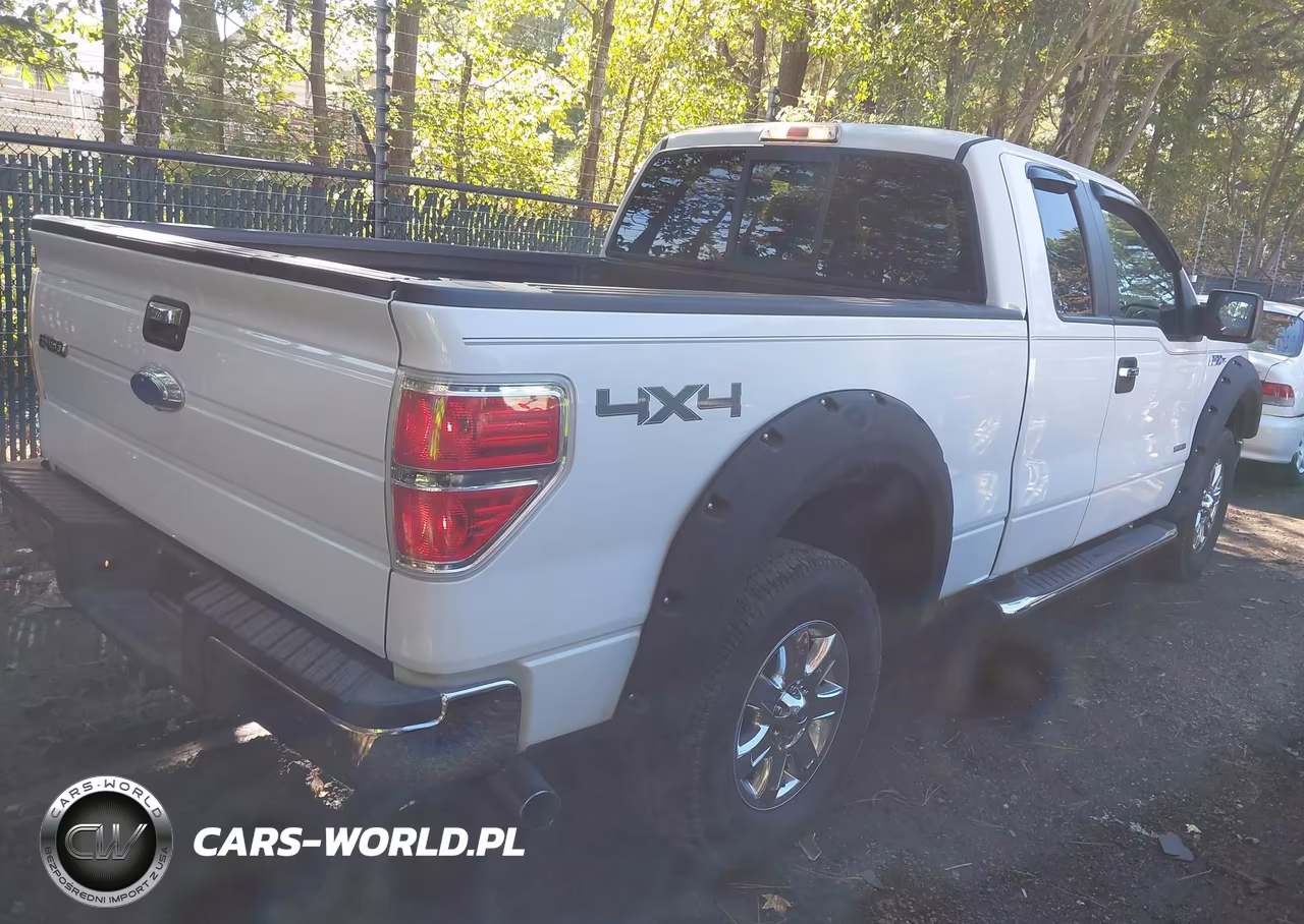 2013 Ford F-150 Xlt VIN:1FTFX1ET0DKE09477 - 4