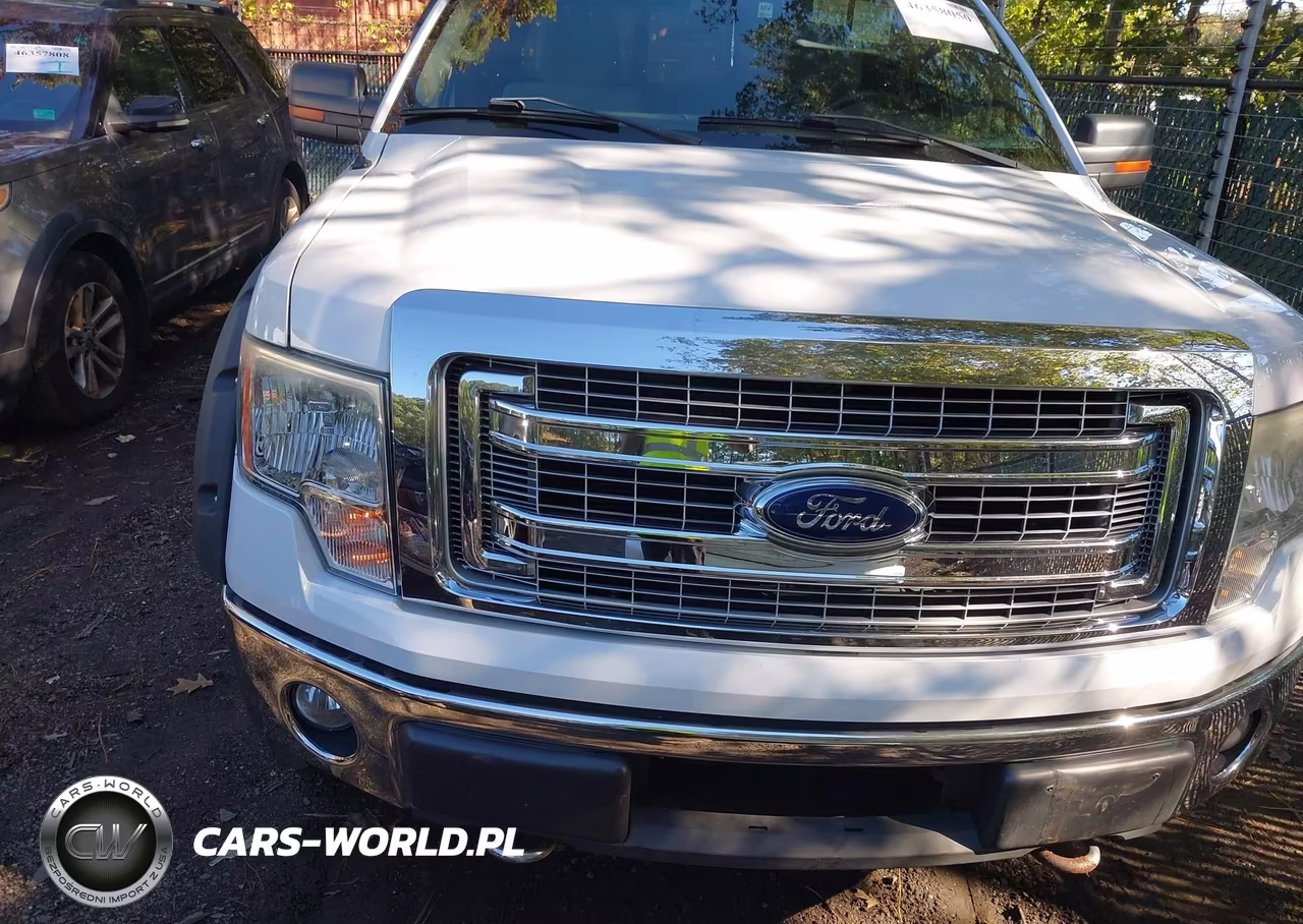 2013 Ford F-150 Xlt VIN:1FTFX1ET0DKE09477 - 6