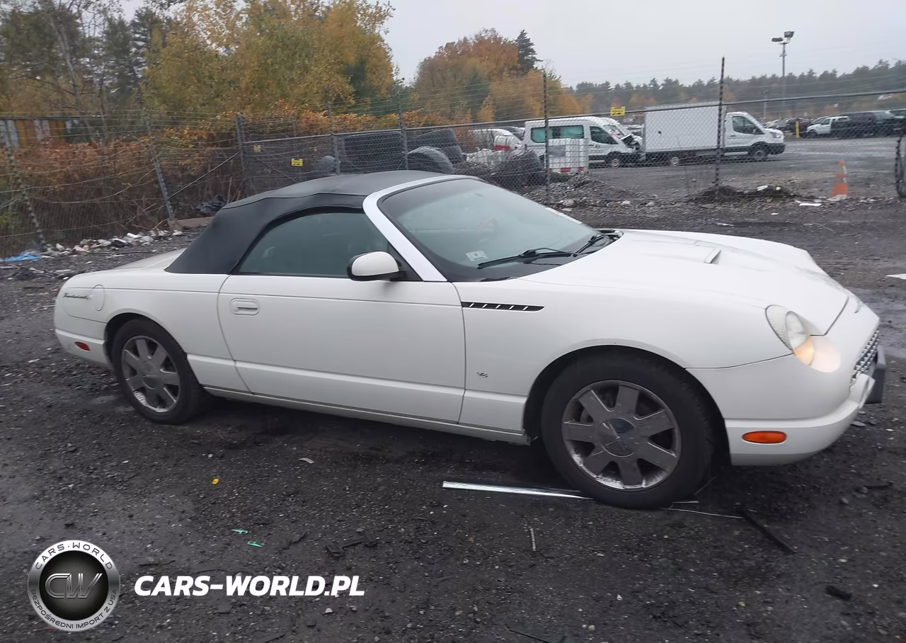 2003 Ford Thunderbird VIN:1FAHP60A93Y111118 - 12