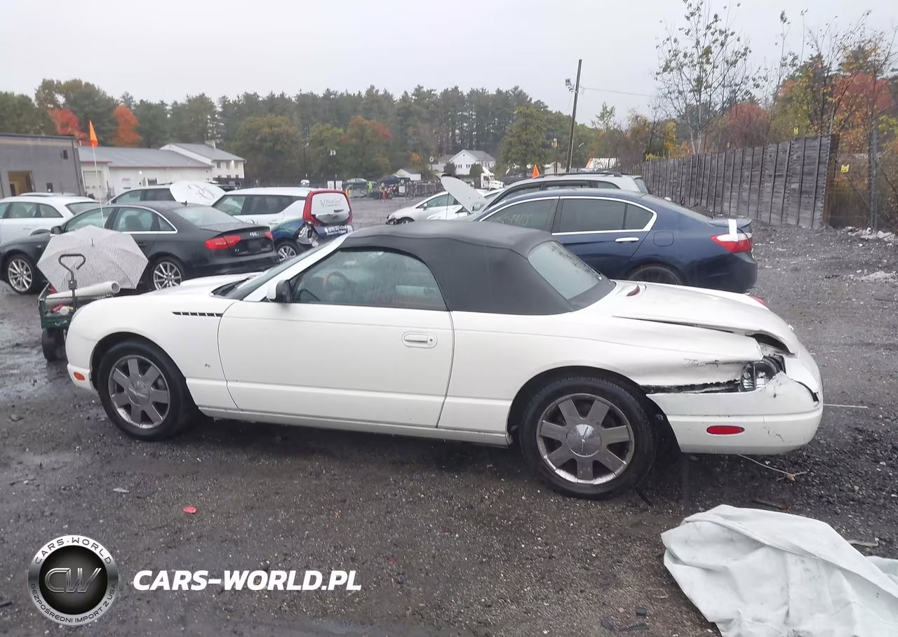 2003 Ford Thunderbird VIN:1FAHP60A93Y111118 - 13