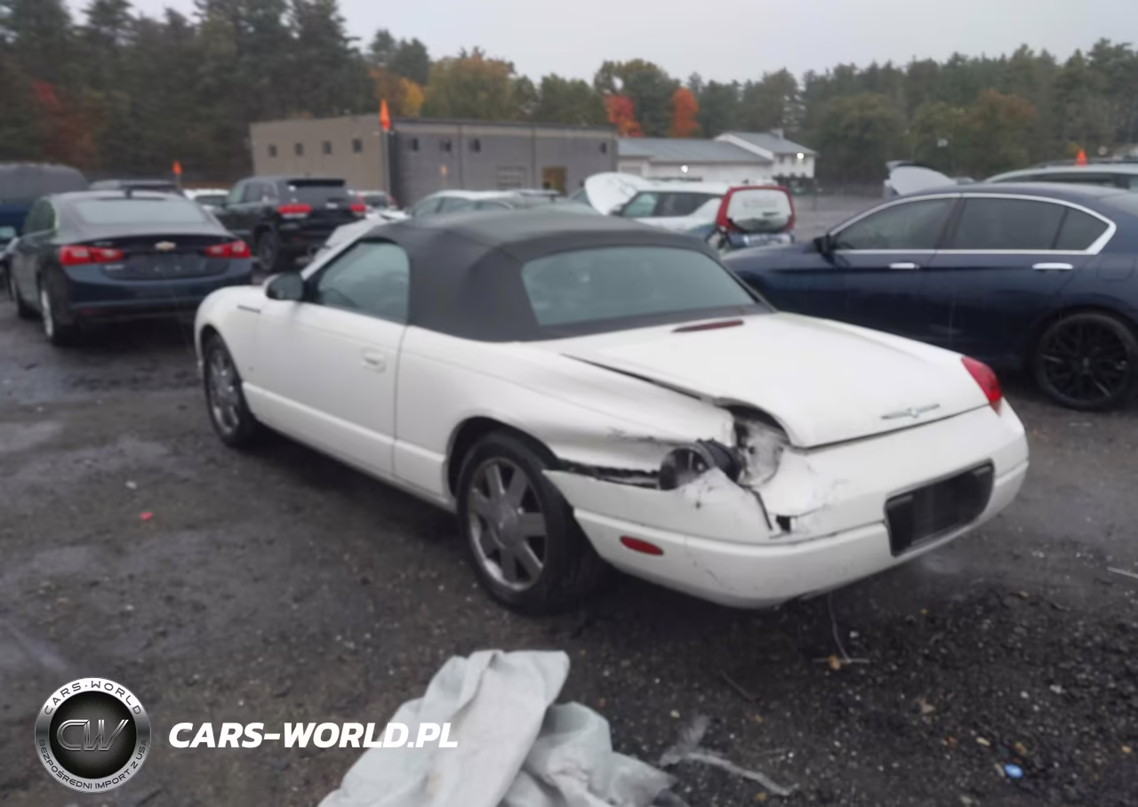 2003 Ford Thunderbird VIN:1FAHP60A93Y111118 - 3