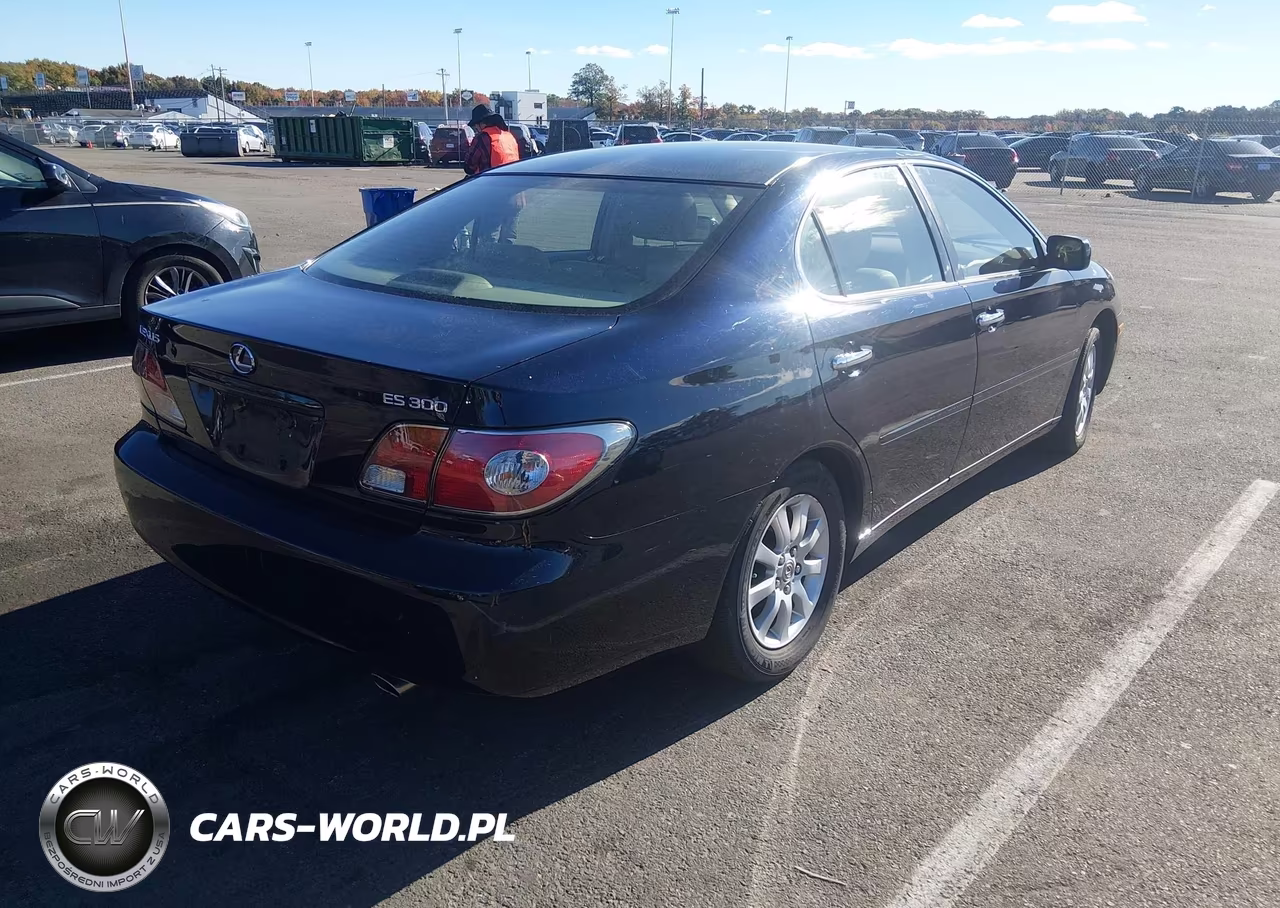 2002 Lexus Es 300 VIN:JTHBF30G525013627 - 4