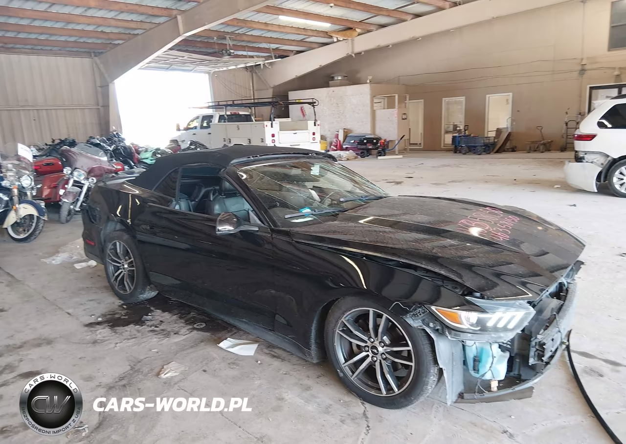 2017 Ford Mustang Ecoboost Premium VIN:1FATP8UH6H5257725 - 14