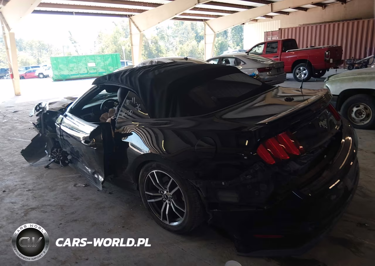 2017 Ford Mustang Ecoboost Premium VIN:1FATP8UH6H5257725 - 15