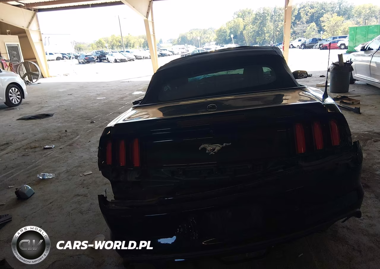 2017 Ford Mustang Ecoboost Premium VIN:1FATP8UH6H5257725 - 17