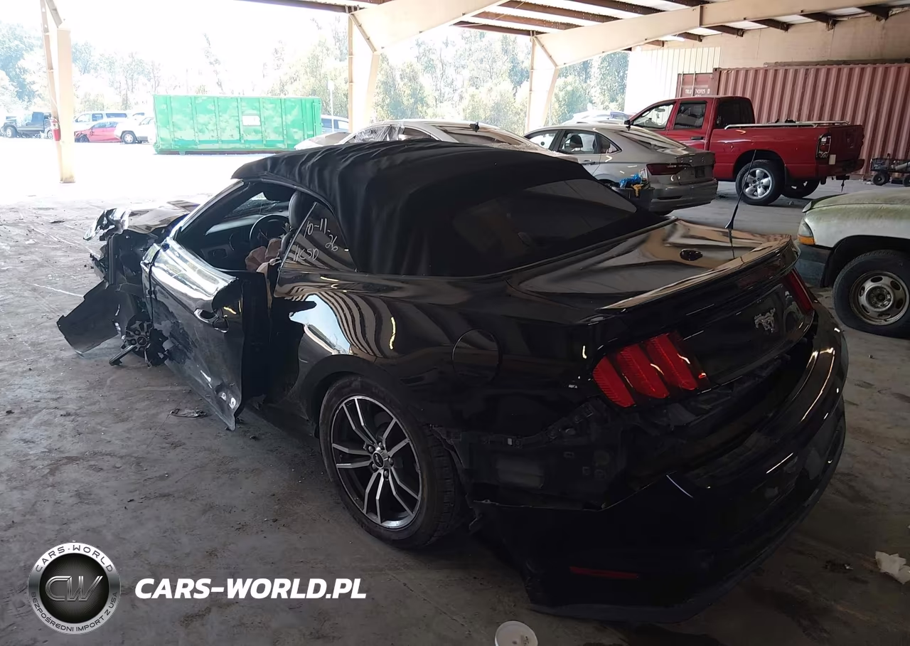 2017 Ford Mustang Ecoboost Premium VIN:1FATP8UH6H5257725 - 3