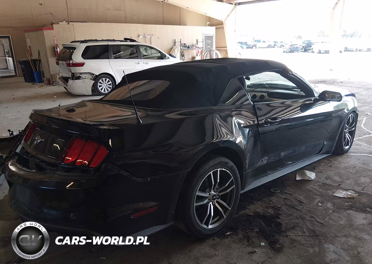 2017 Ford Mustang Ecoboost Premium VIN:1FATP8UH6H5257725 - 4