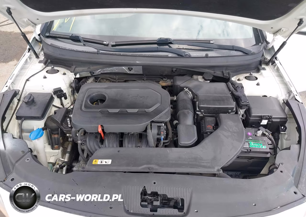 2016 Hyundai Sonata Se VIN:5NPE24AF1GH405159 - 10