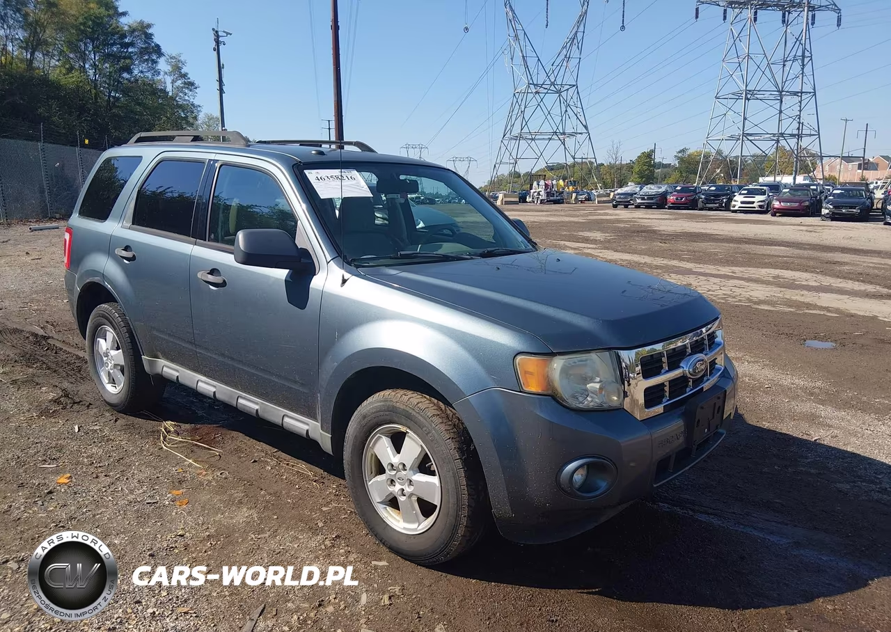 2010 Ford Escape Xlt